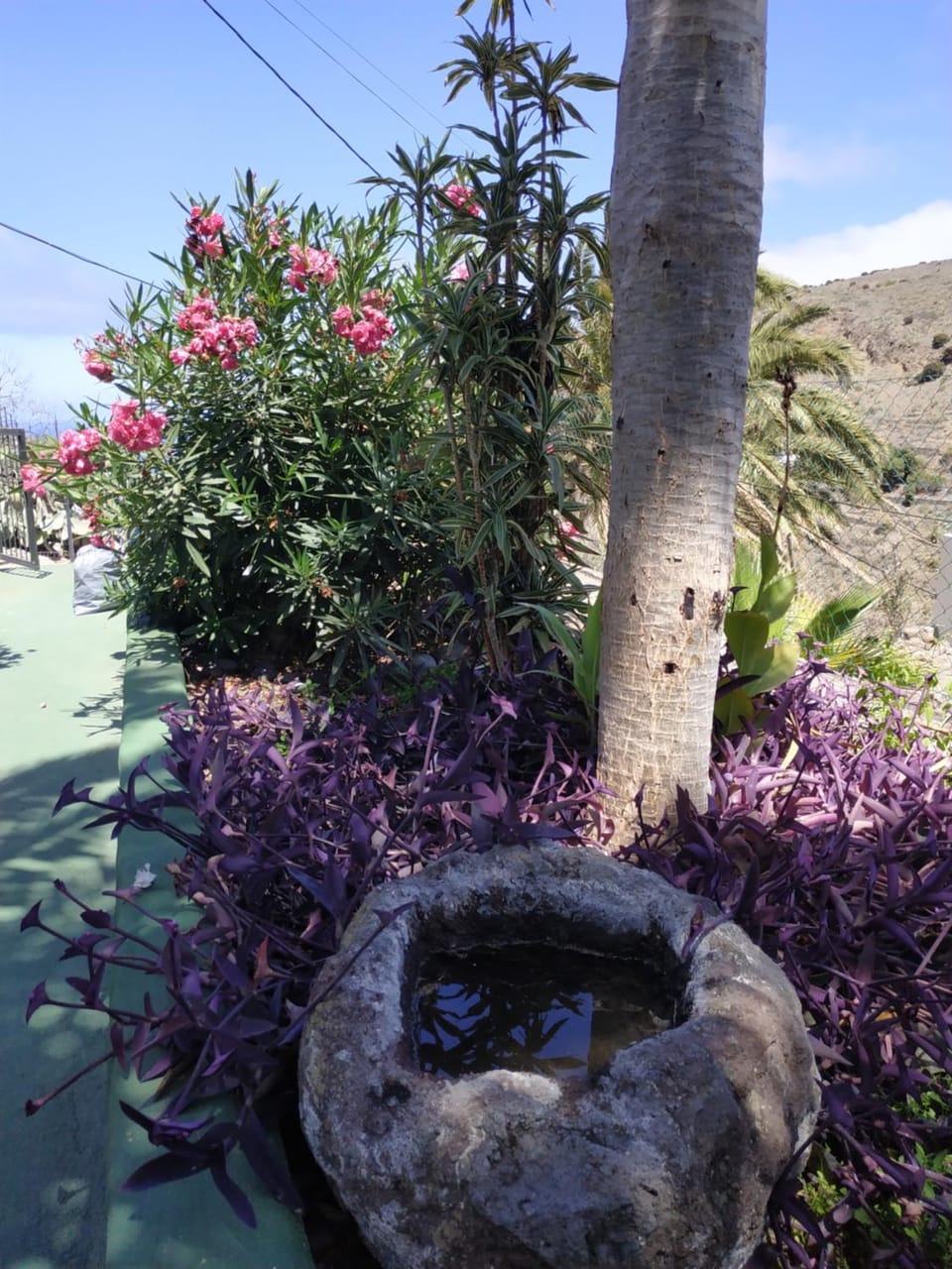 Finca Lomo Grande Chalet in La Gomera