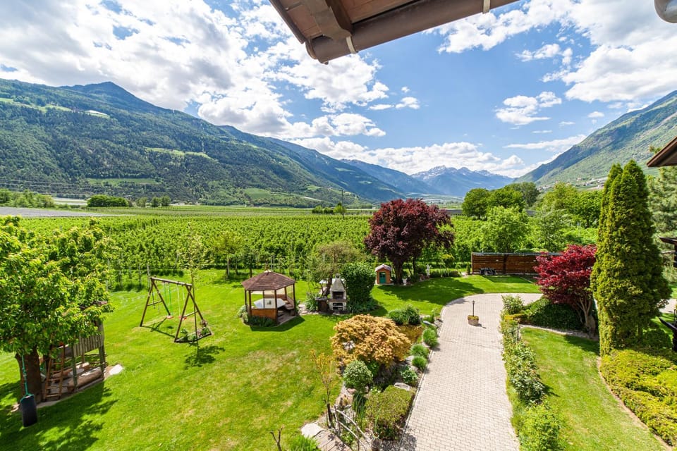 Natural landscape, Garden, Garden, Garden view