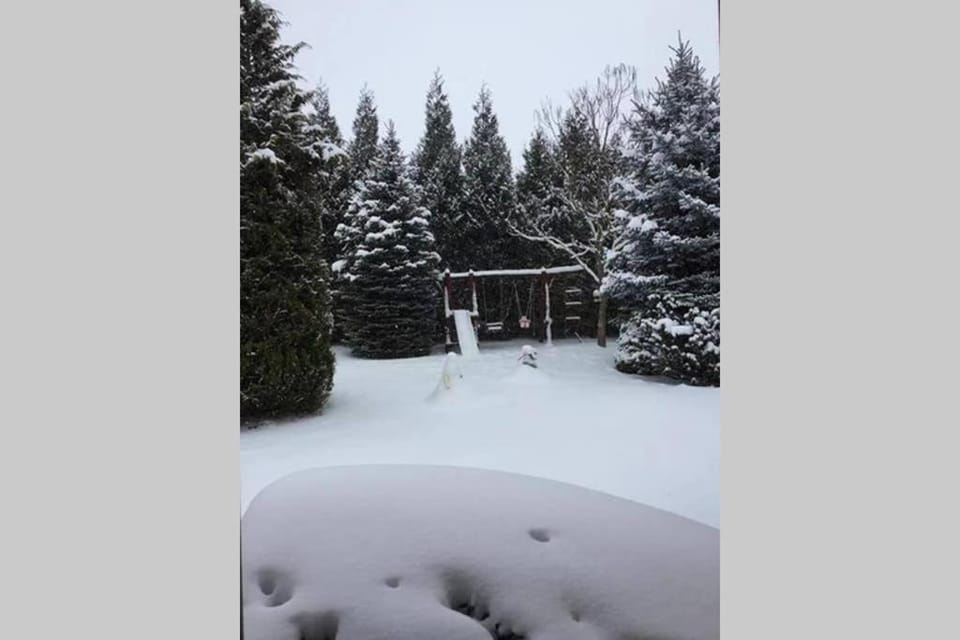 Winter, Garden