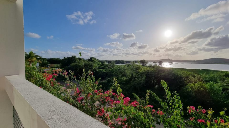 Natural landscape, View (from property/room), Balcony/Terrace, River view