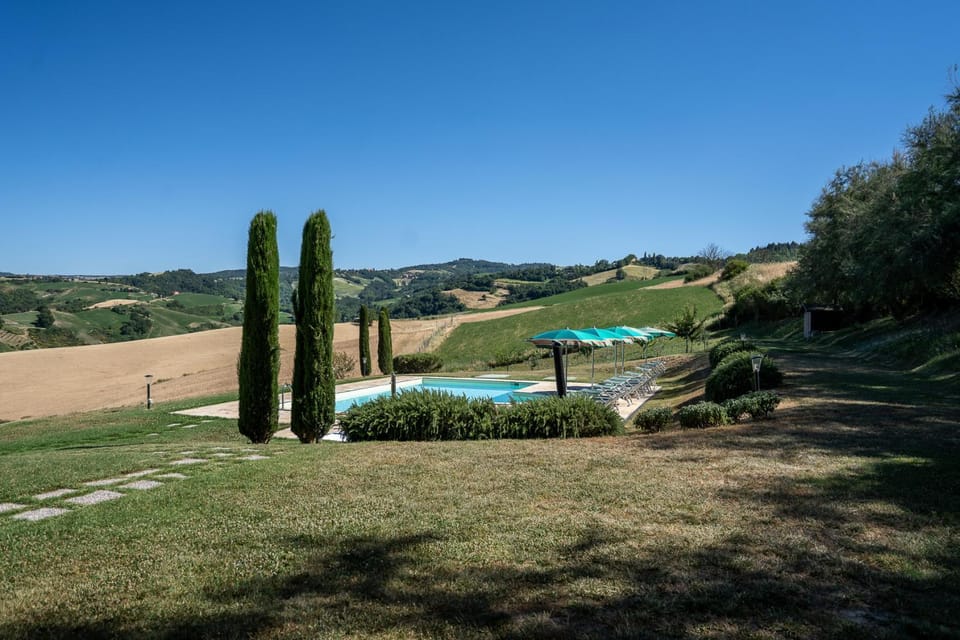 Natural landscape, Garden, Garden view, Pool view, Swimming pool, sunbed