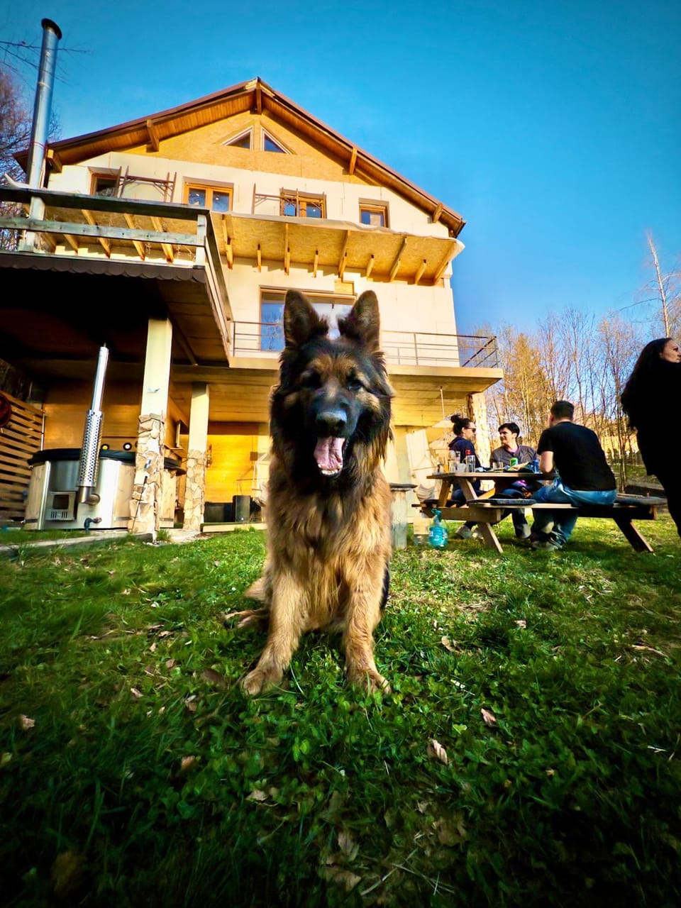 Chalet Nomad Chalet in Romania