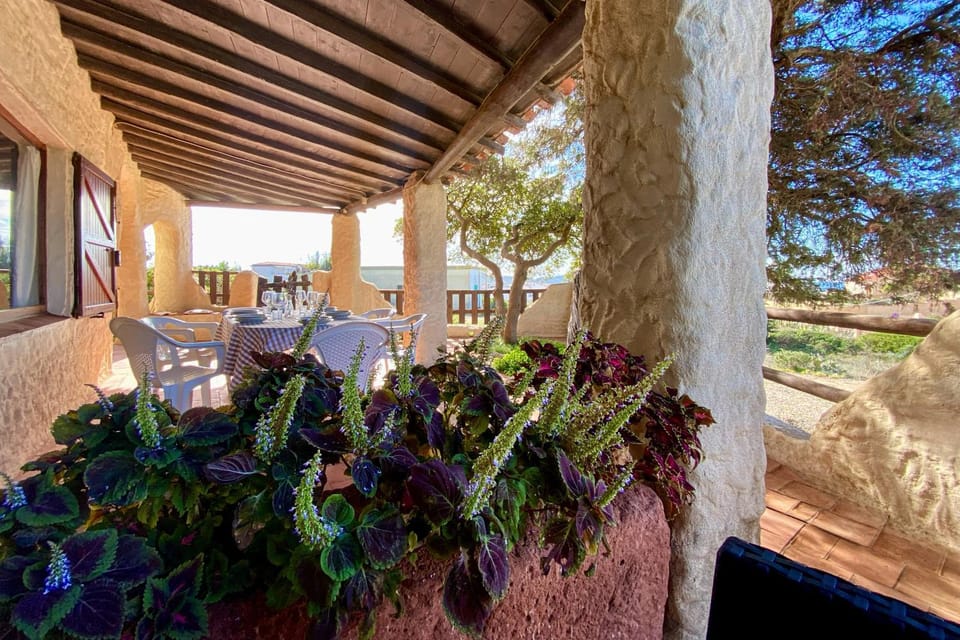 Patio, Dining area