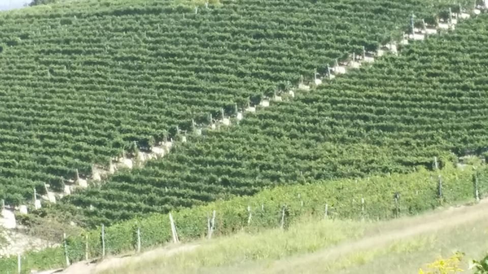 Casa Tarò Bed and Breakfast in Piedmont