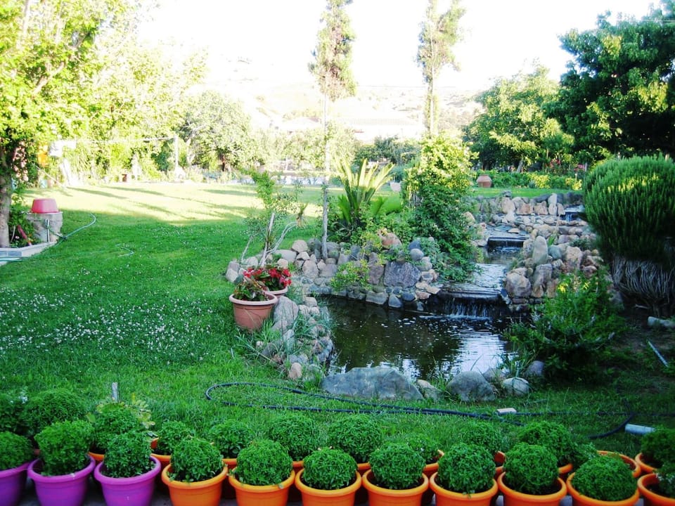 Property building, Natural landscape, Garden, Garden view