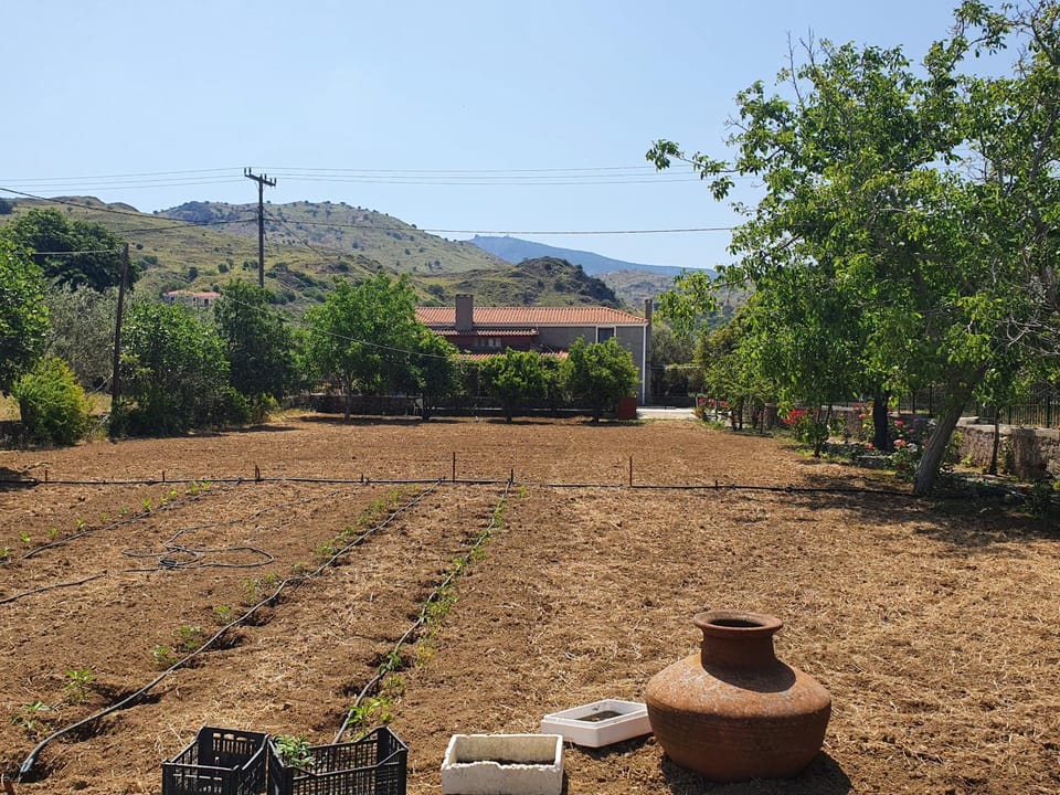 Garden, Garden view