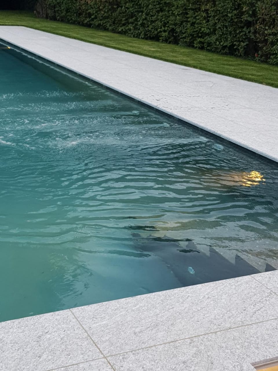 Swimming pool, Swimming pool