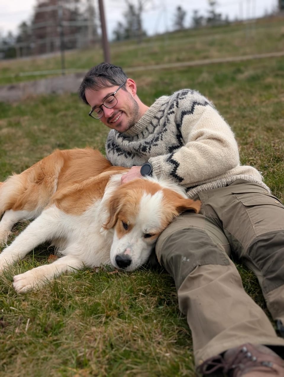 Pets
