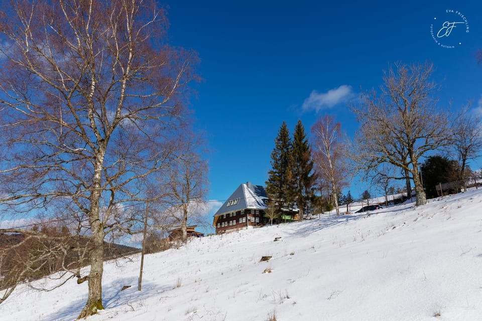 Property building, Winter