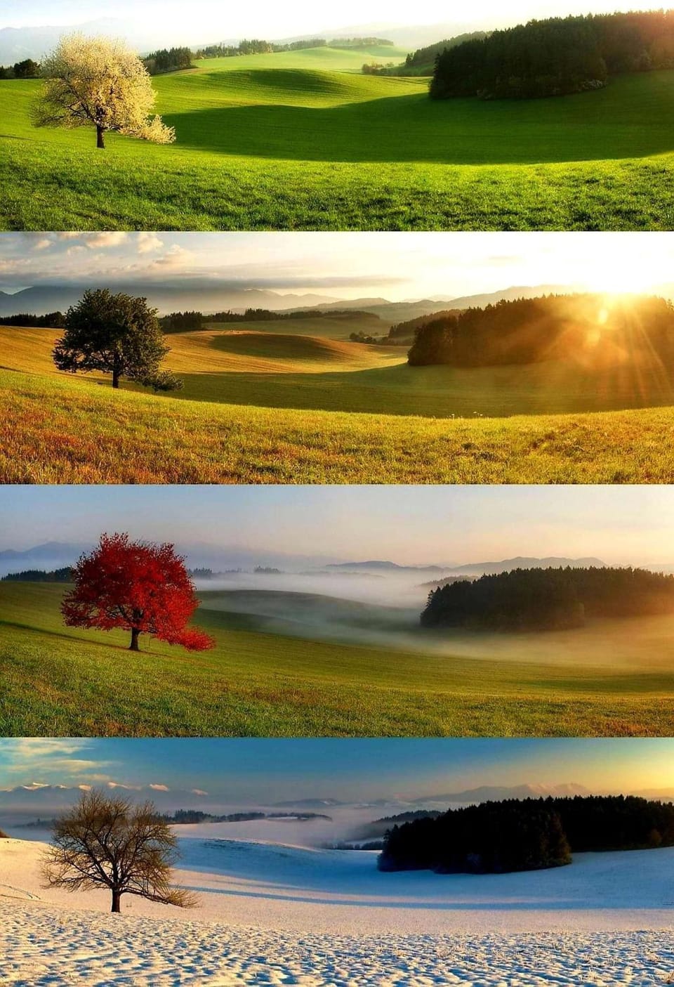La grange de Maurines House in Auvergne-Rhône-Alpes