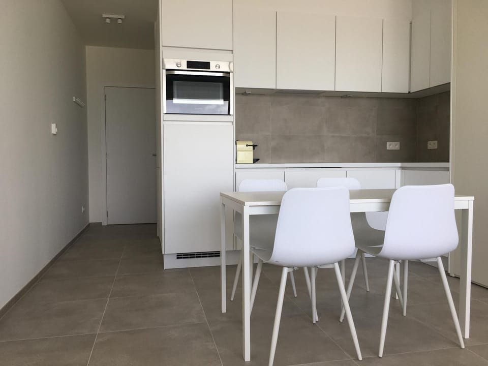 penthouse seafront Apartment in Ostend