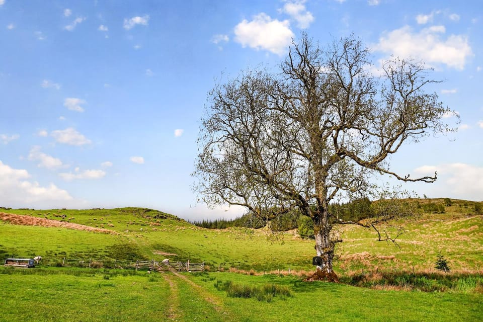 Natural landscape, Garden, Garden view
