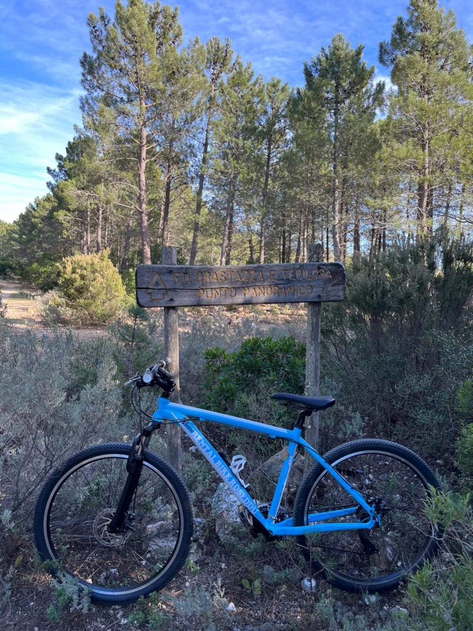 Spring, Natural landscape, Hiking, Hiking, Cycling