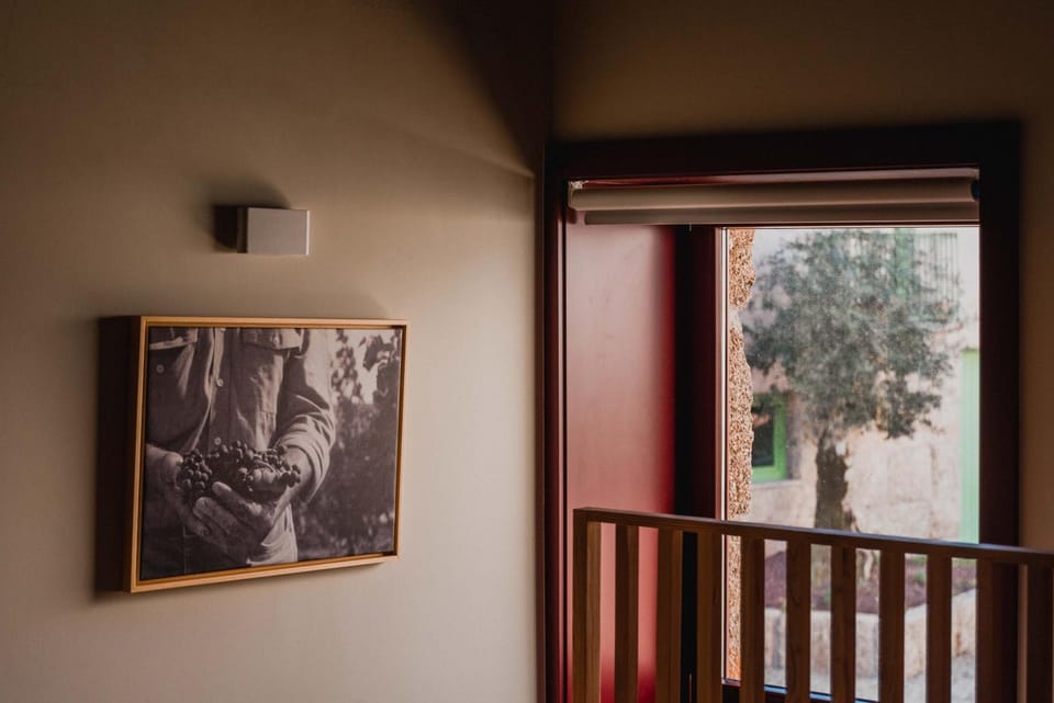 Vila Coura Farm Stay in Porto District
