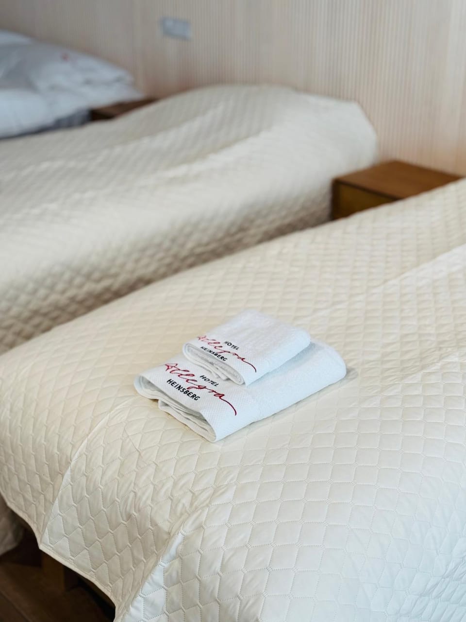 Hotel Allegra Hotel in Limburg (province)