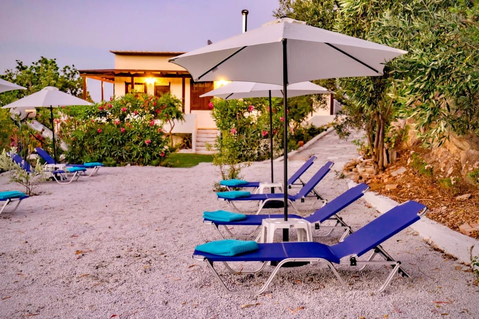 Patio, Summer, Garden, On site, Sunset, Inner courtyard view
