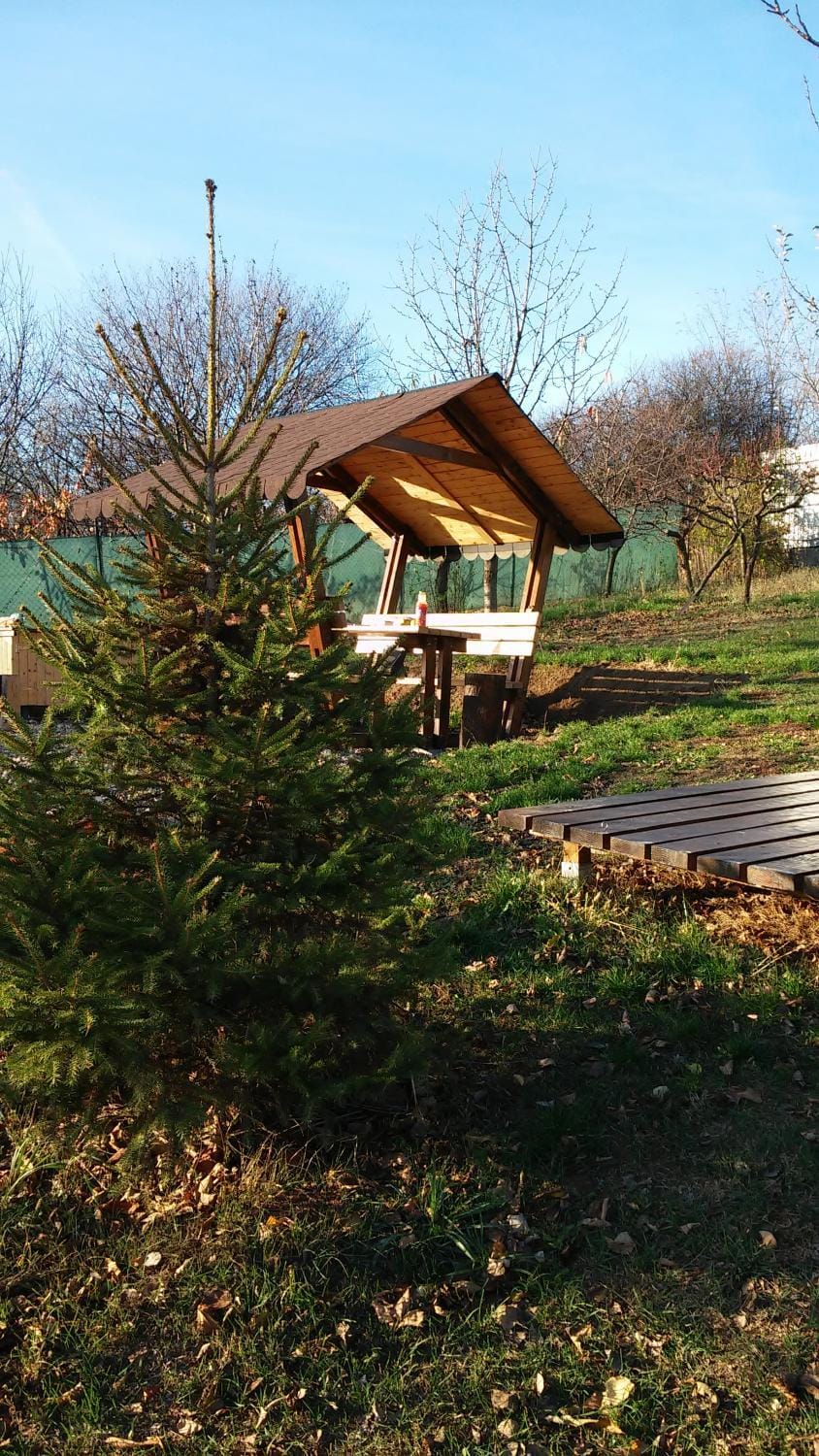 Zen Garden Luxury tent in Hungary