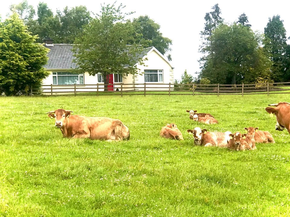 Knocknagore Cottage Villa in Northern Ireland