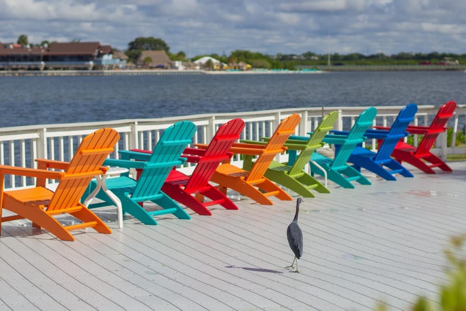 412-AMAZING Views, Waterfront, WIFI, Pool, Close to BUCS Stadium Apartment in Tampa
