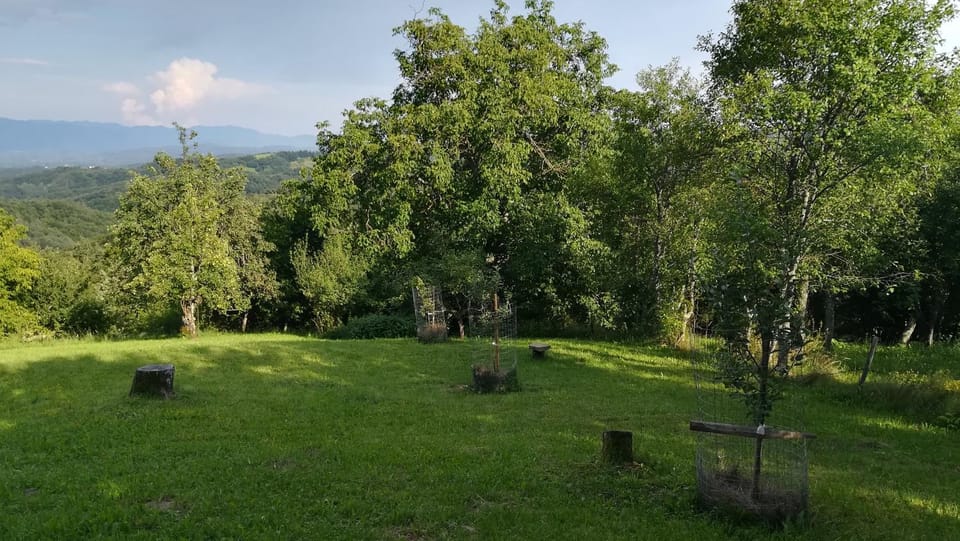 Garden, Garden, Garden view