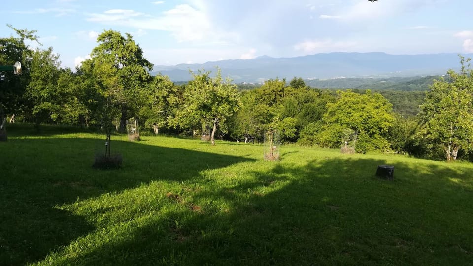 Garden, Garden, Garden view
