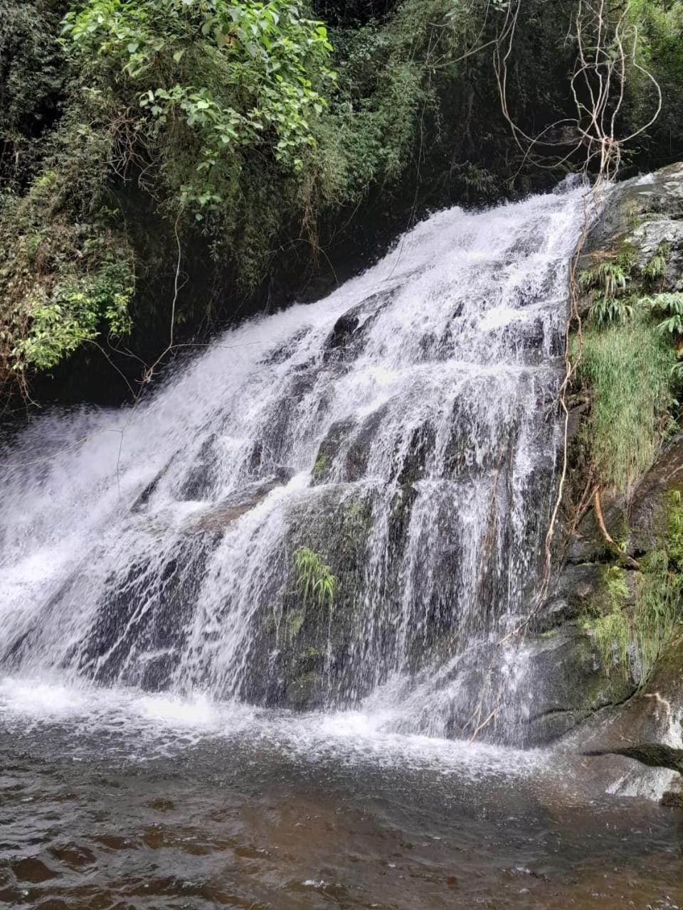 Chalé da Cachoeira - Cachoeira particular dentro da hospedagem House in Nova Friburgo