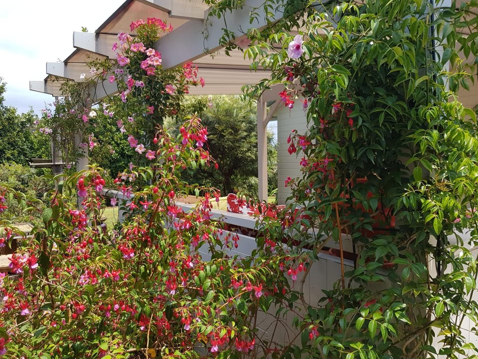 Sundowner Cottage House in Saint Georges Basin