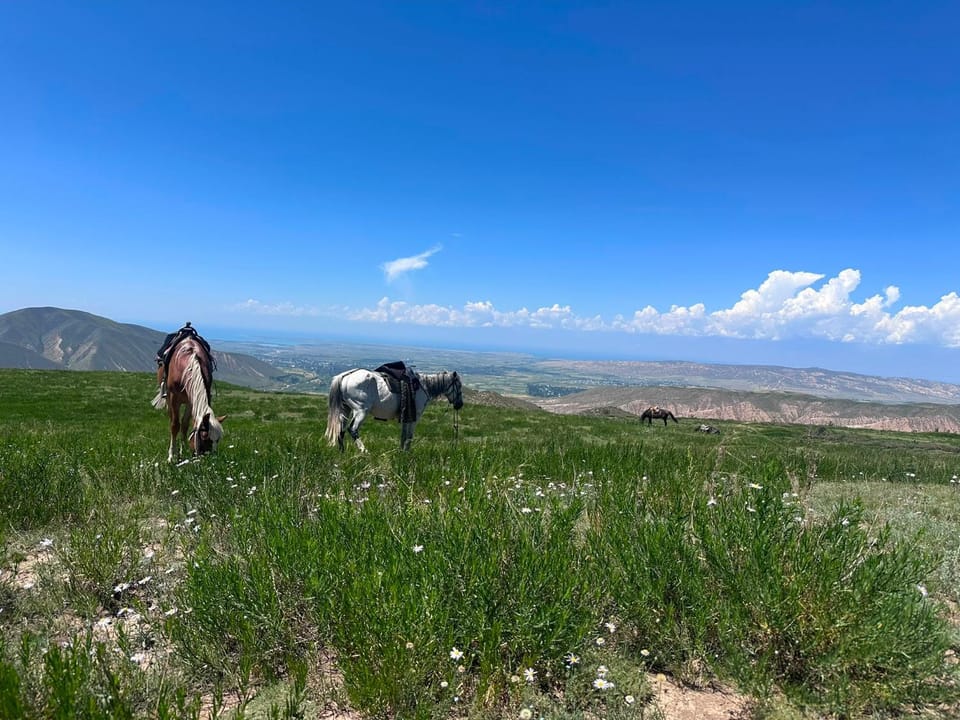 Horse-riding