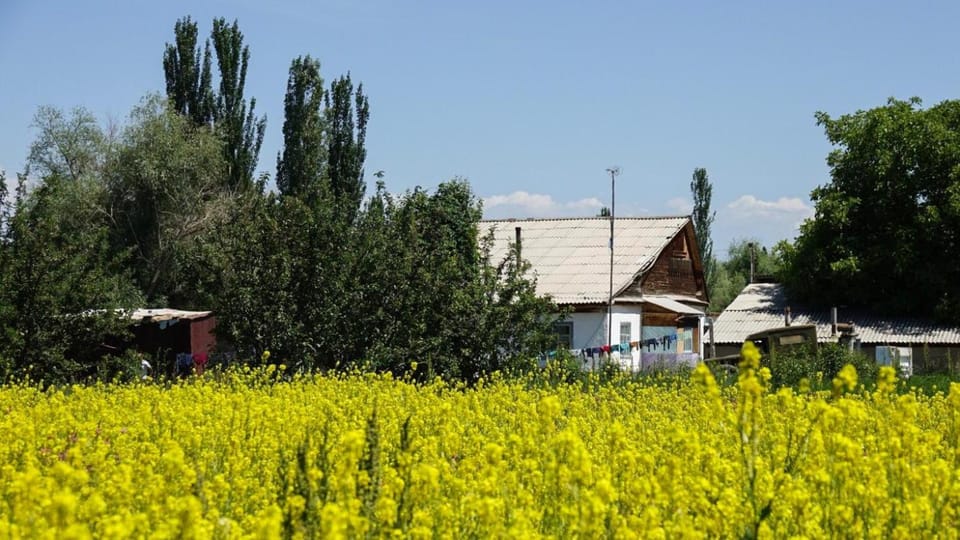 Kyrgyz Family Guesthouse & Horse Trekking near Karakol Vacation rental in Almaty Region, Kazakhstan