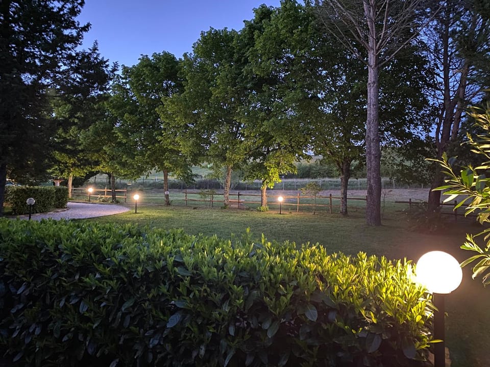 Garden, Garden view