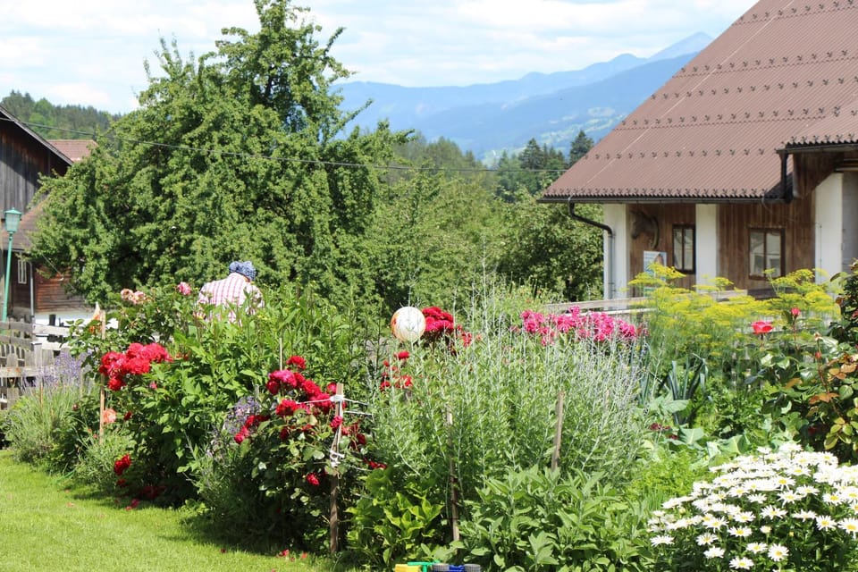 Garden, Area and facilities