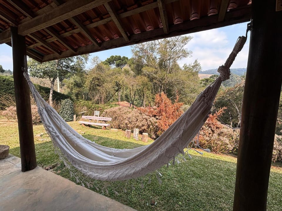 Patio, Spring, Day, Natural landscape, Garden, Garden view