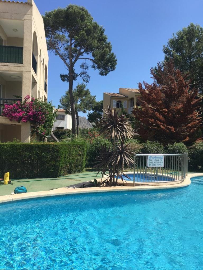 Garden, Swimming pool, sunbed