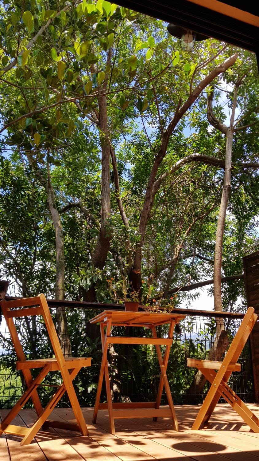 Le lodge origin Apartment in Réunion
