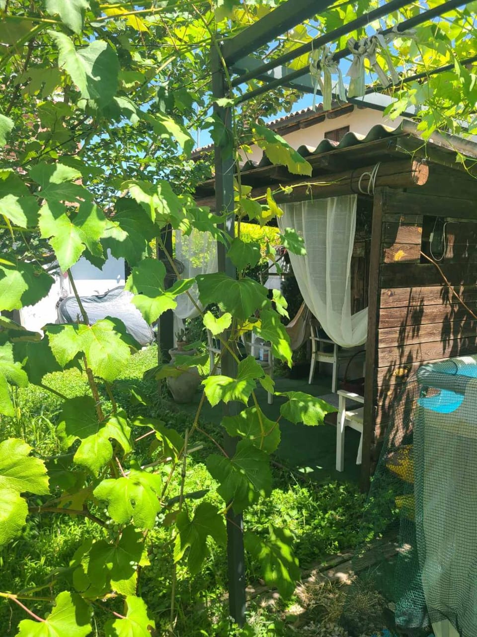 Garden, Garden view