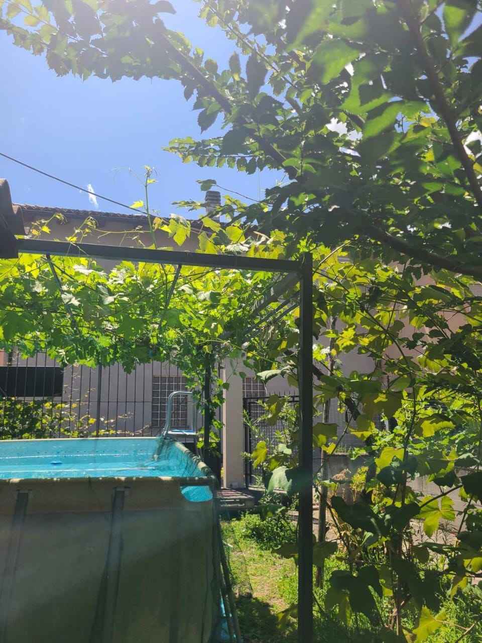 Garden, Garden view