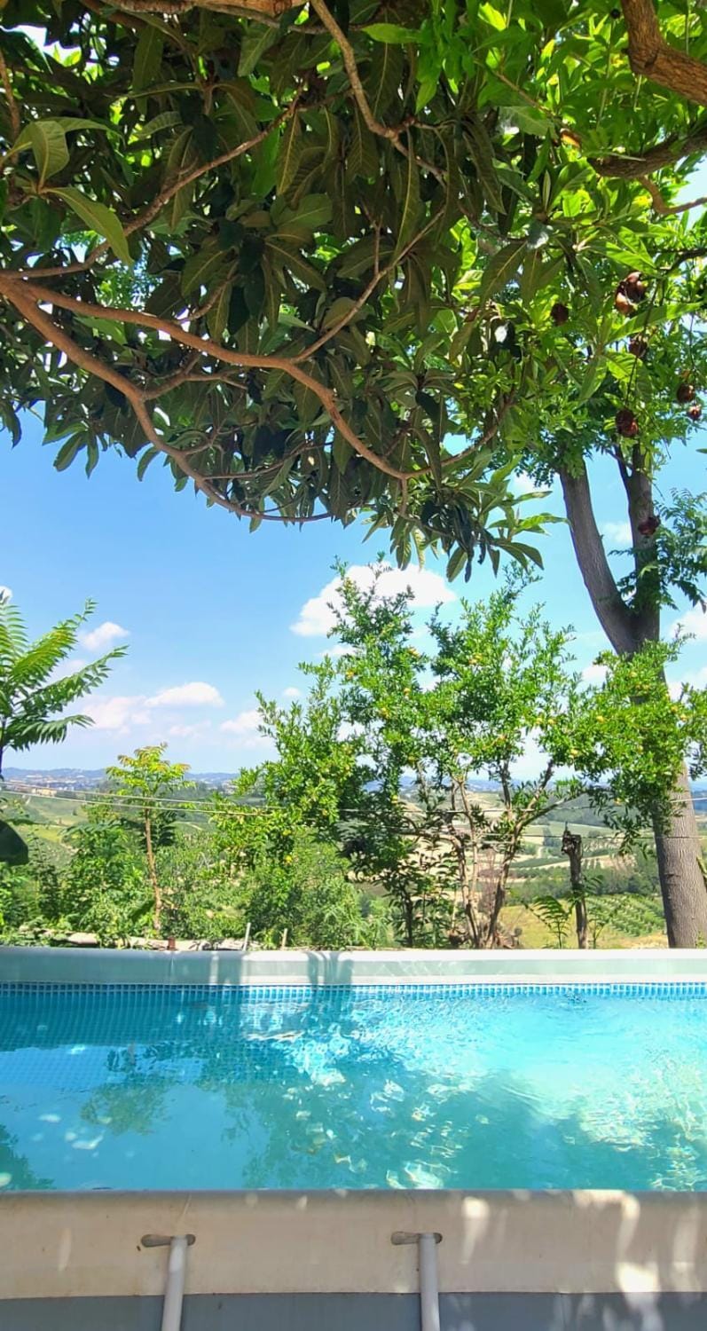 Natural landscape, Garden view