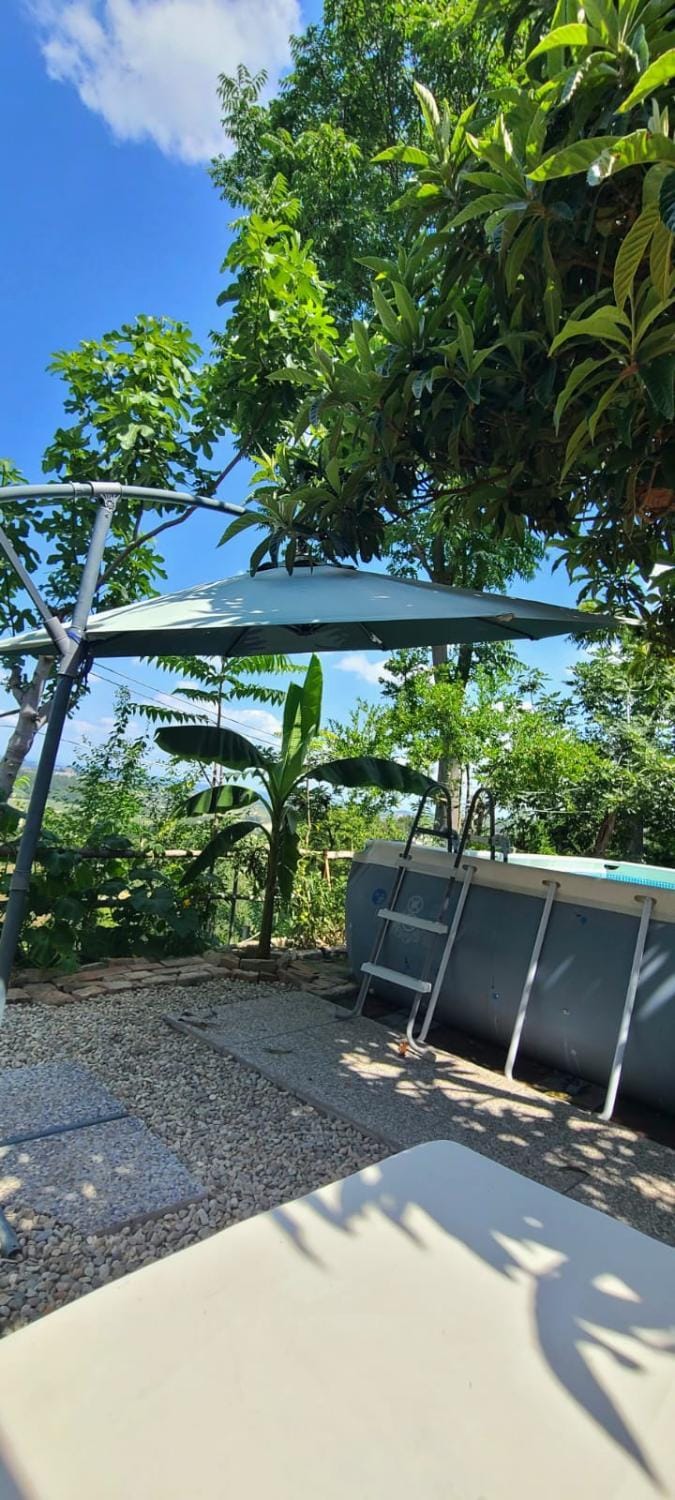 Garden, Garden view
