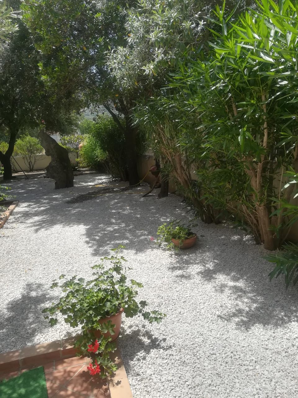 B&B I Mari Bed and Breakfast in Sardinia