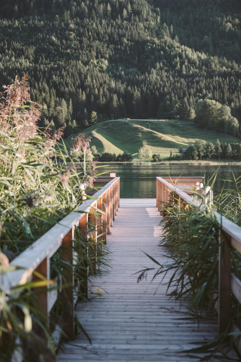 Natural landscape