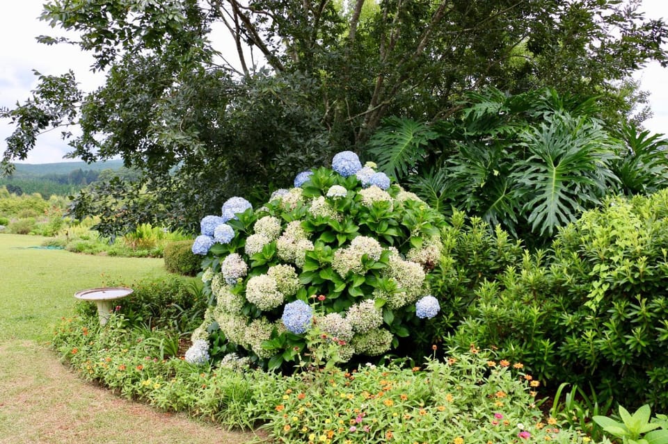 Lakeview Cottages Farm Stay in South Africa