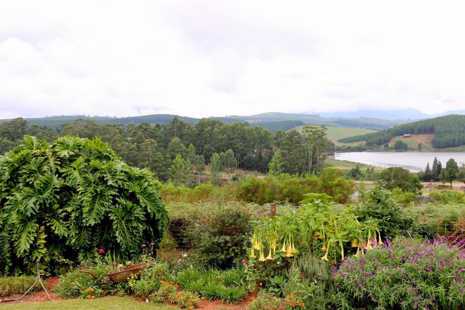 Lakeview Cottages Farm Stay in South Africa