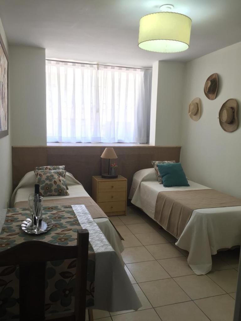 Acogedor monoambiente , en el centro de mendoza . Apartment in Mendoza