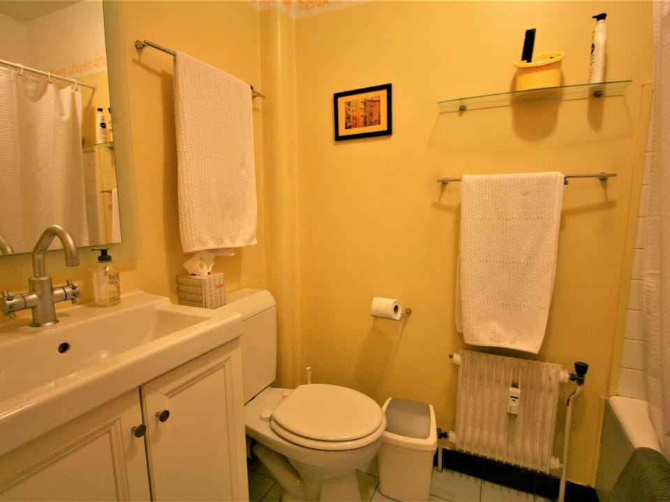 Charmant T2 Chamonix avec balcon, accepte animaux - FR-1-507-45 Apartment in Chamonix