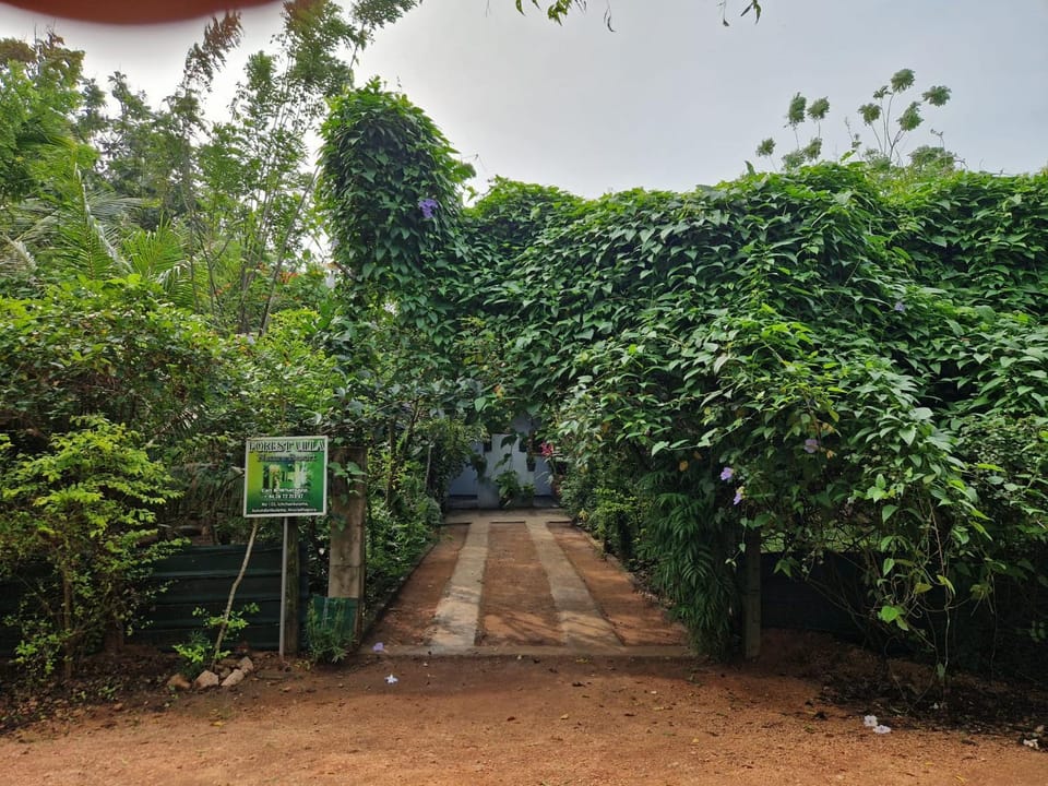 Garden, Garden view