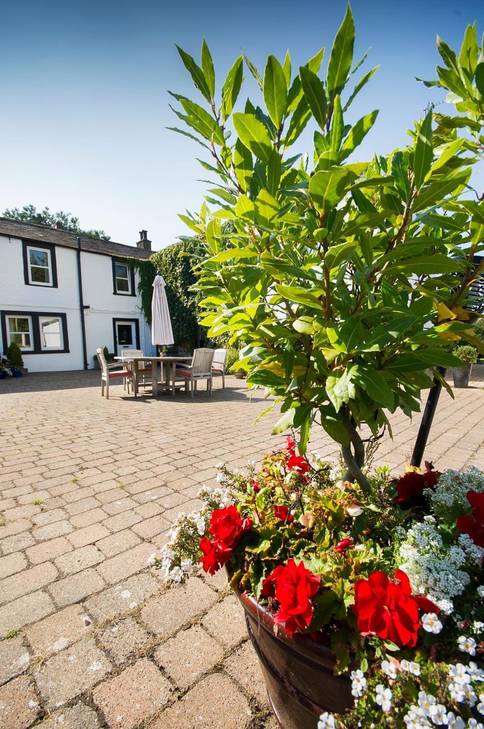 Property building, Patio, Facade/entrance