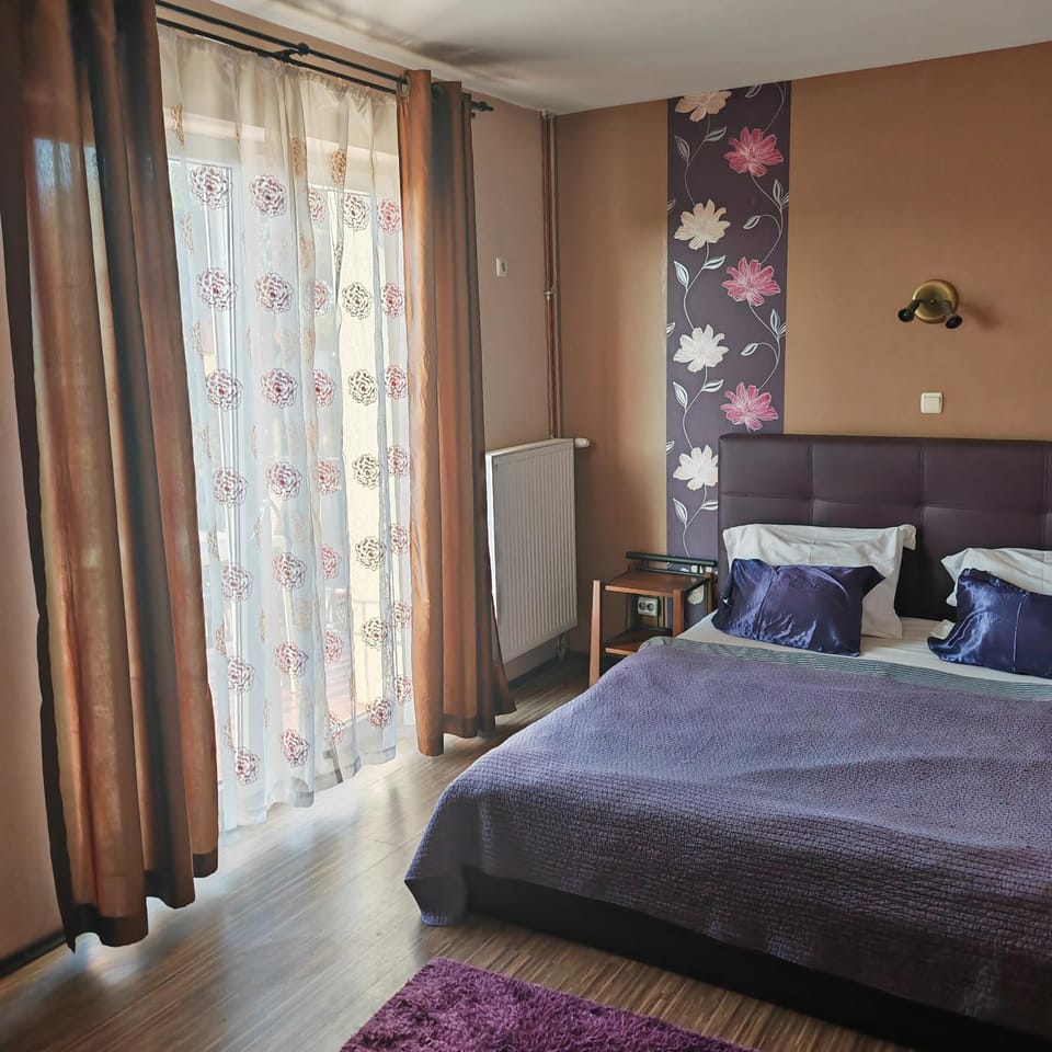 Nautica Regent Direct is More Efficient Bed and Breakfast in Romania