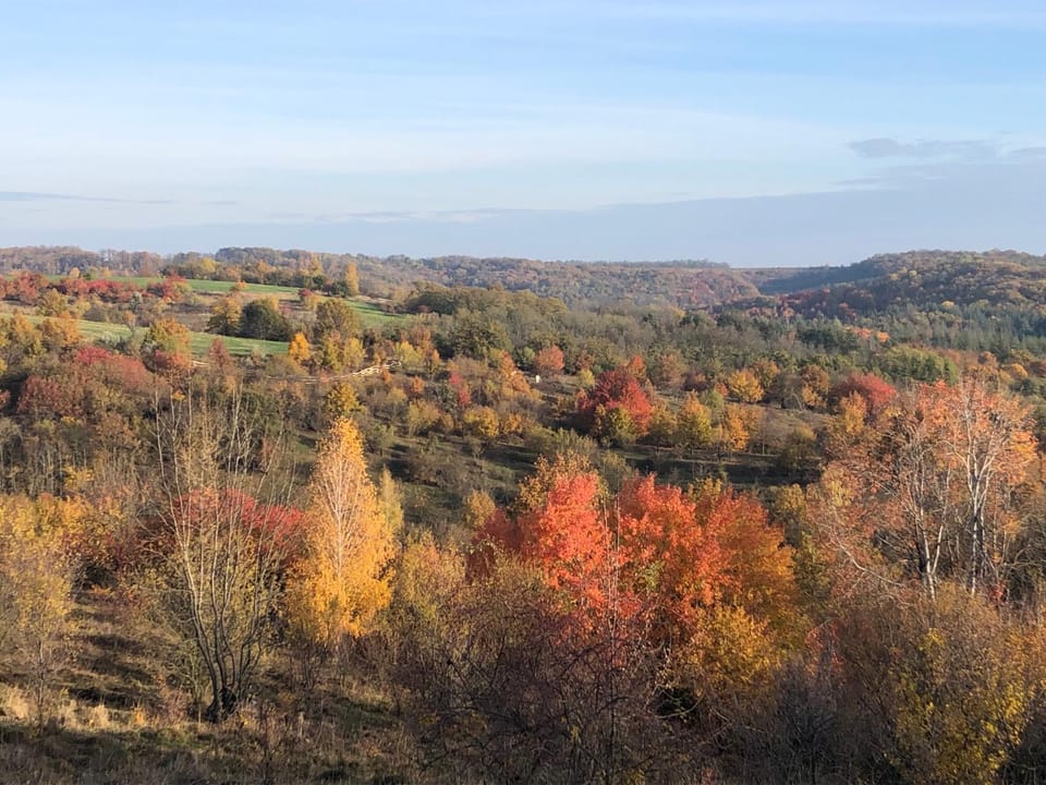 Natural landscape