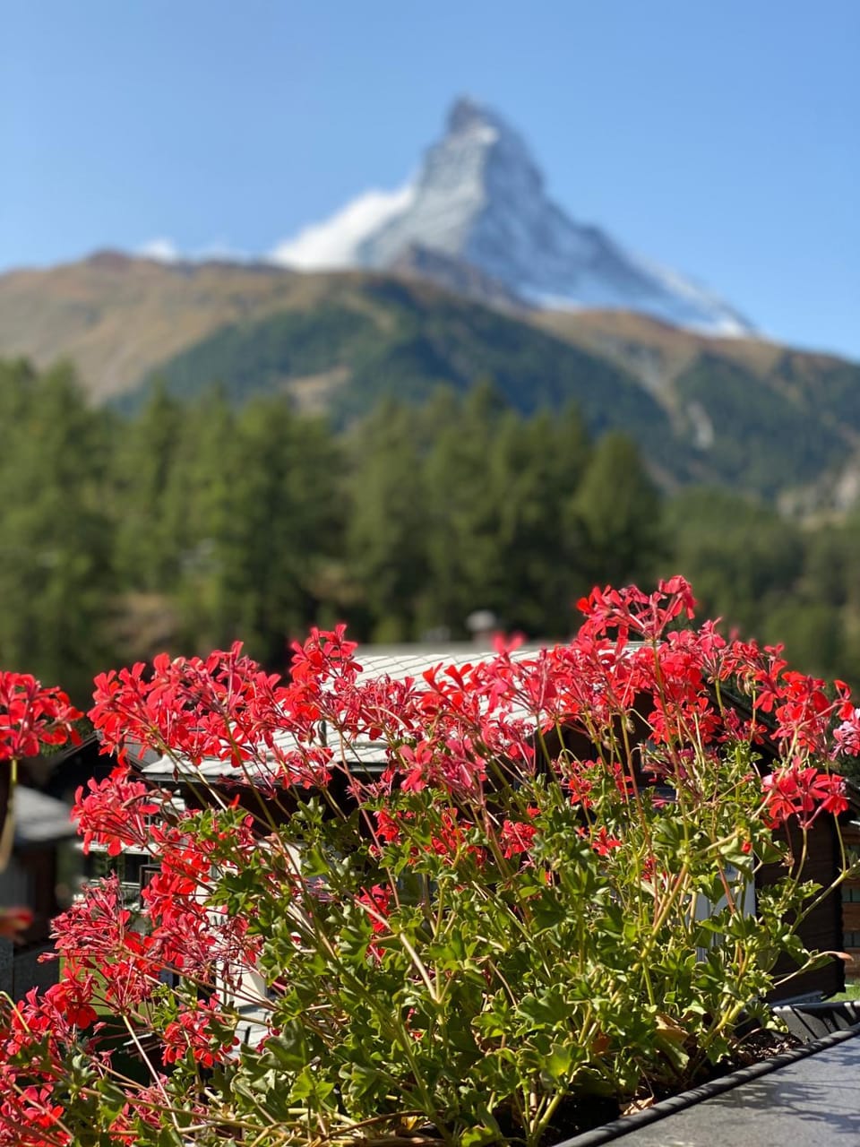 Nearby landmark, Spring, Day, Natural landscape, Skiing, Skiing, TV and multimedia, View (from property/room), View (from property/room), Balcony/Terrace, Balcony/Terrace, Garden view, Garden view, Landmark view, Landmark view, Mountain view, Mountain view, concierge, pet friendly, pet friendly
