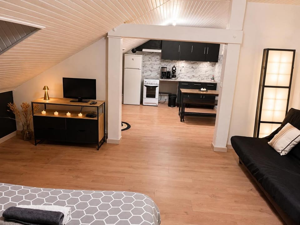 TV and multimedia, Coffee/tea facilities, Photo of the whole room, Bedroom, microwave, oven, stove, kitchen